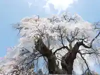 福王寺のその他建物