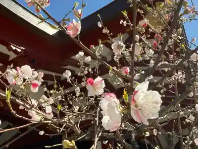 素盞雄神社(東京都)