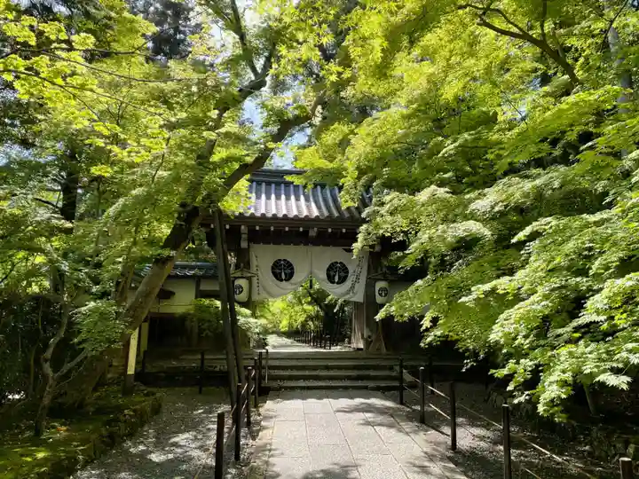 光明寺(粟生光明寺)(京都府)