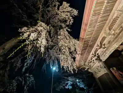 田村大元神社(福島県)