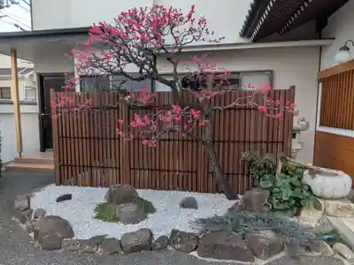 長明寺(東京都)