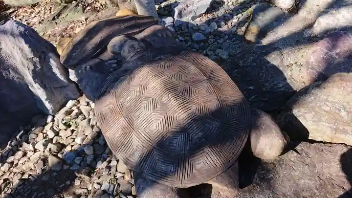 法雲寺のその他建物