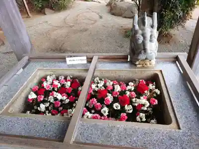 比々多神社(神奈川県)