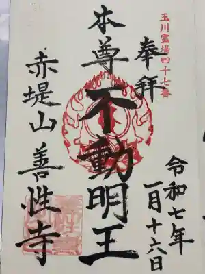 善性寺の御朱印