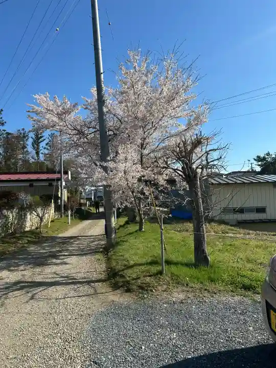 羽生天神社の{uncategorized: "未分類", other: "その他", undefined: "問題あり", building: "その他建物", grave: "お墓", sacred_gate: "鳥居", guardian: "狛犬", statue: "像", buddha: "仏像", history: "歴史", nature: "自然", garden: "庭園", animal: "動物", pagoda: "塔", temizu: "手水舎", mountain_gate: "山門・神門", sanctuary: "本殿・本堂", subordinate: "末社・摂社", art: "芸術", scenery: "景色", jizo: "地蔵", ema: "絵馬", goshuin: "御朱印", omikuji: "おみくじ", items: "授与品その他", amulet: "お守り", goshuincho: "御朱印帳", eats: "食事", festival: "お祭り", votive_dance: "神楽", shichigosan: "七五三参", wedding: "結婚式", experience: "体験その他", initially: "初詣", around: "周辺", anti_infection: "感染症対策"}