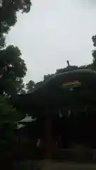 中野氷川神社(東京都)