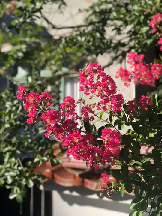 木舟山 順教寺(広島県)