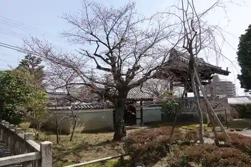 上品蓮台寺の庭園