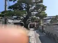 都久生須麻神社の{uncategorized: "未分類", other: "その他", undefined: "問題あり", building: "その他建物", grave: "お墓", sacred_gate: "鳥居", guardian: "狛犬", statue: "像", buddha: "仏像", history: "歴史", nature: "自然", garden: "庭園", animal: "動物", pagoda: "塔", temizu: "手水舎", mountain_gate: "山門・神門", sanctuary: "本殿・本堂", subordinate: "末社・摂社", art: "芸術", scenery: "景色", jizo: "地蔵", ema: "絵馬", goshuin: "御朱印", omikuji: "おみくじ", items: "授与品その他", amulet: "お守り", goshuincho: "御朱印帳", eats: "食事", festival: "お祭り", votive_dance: "神楽", shichigosan: "七五三参", wedding: "結婚式", experience: "体験その他", initially: "初詣", around: "周辺", anti_infection: "感染症対策"}