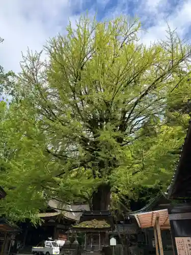 正法寺の{uncategorized: "未分類", other: "その他", undefined: "問題あり", building: "その他建物", grave: "お墓", sacred_gate: "鳥居", guardian: "狛犬", statue: "像", buddha: "仏像", history: "歴史", nature: "自然", garden: "庭園", animal: "動物", pagoda: "塔", temizu: "手水舎", mountain_gate: "山門・神門", sanctuary: "本殿・本堂", subordinate: "末社・摂社", art: "芸術", scenery: "景色", jizo: "地蔵", ema: "絵馬", goshuin: "御朱印", omikuji: "おみくじ", items: "授与品その他", amulet: "お守り", goshuincho: "御朱印帳", eats: "食事", festival: "お祭り", votive_dance: "神楽", shichigosan: "七五三参", wedding: "結婚式", experience: "体験その他", initially: "初詣", around: "周辺", anti_infection: "感染症対策"}