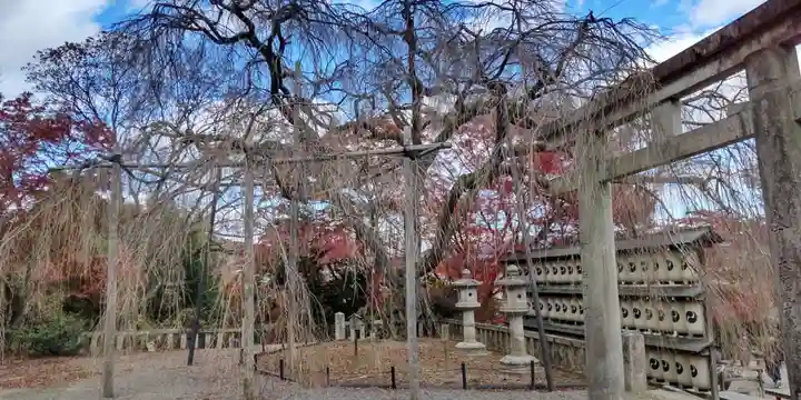 大石神社(京都府)