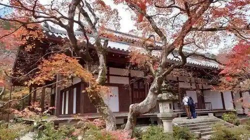 常寂光寺(京都府)