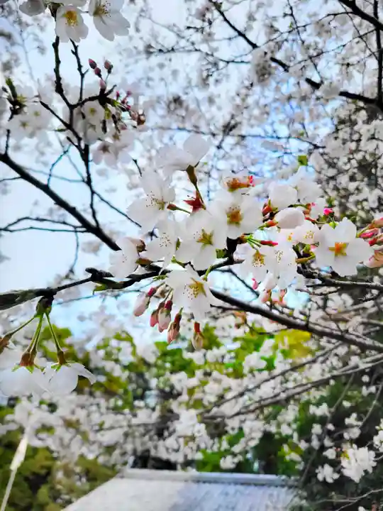 串間神社の御朱印