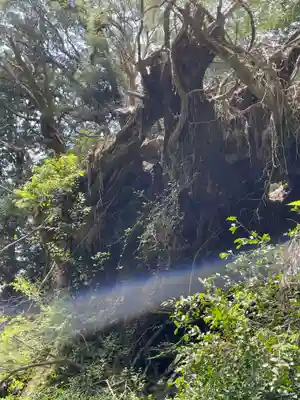 神峯神社(高知県)