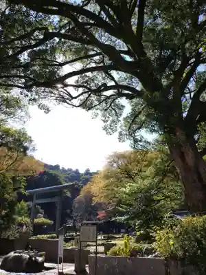 岐阜護國神社(岐阜県)