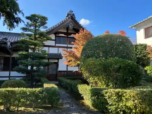 妙心寺（妙心禅寺）(京都府)