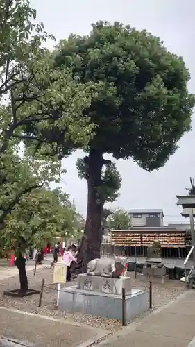 山田天満宮(愛知県)