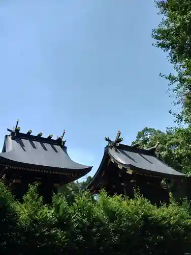 鷲宮神社(埼玉県)