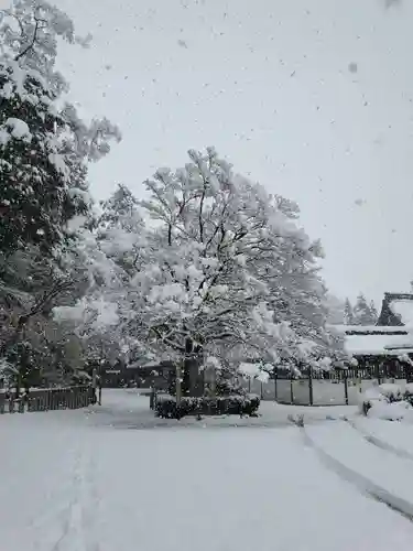 沙沙貴神社の自然