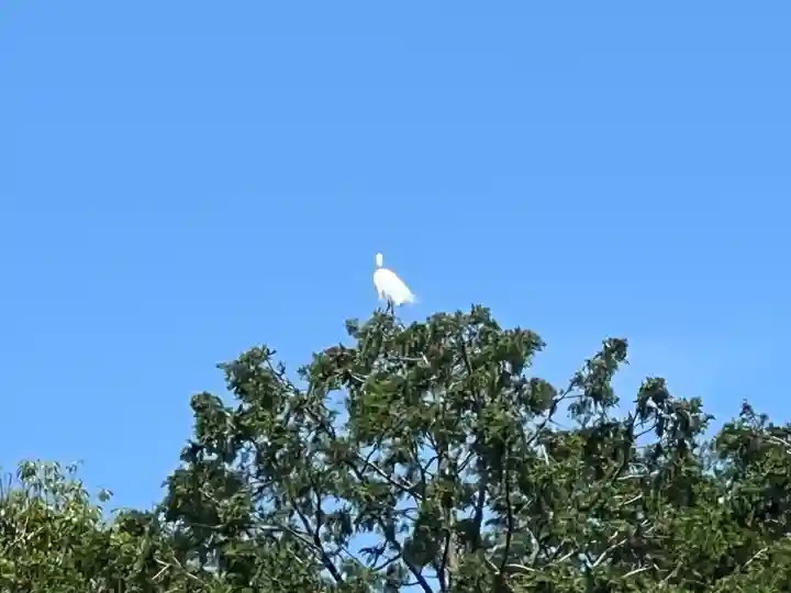 大生郷天満宮(茨城県)