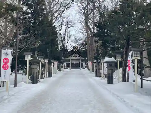 新琴似神社の初詣