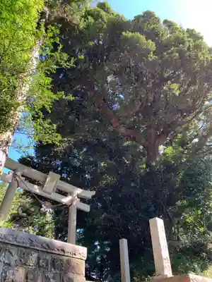 國勝神社の鳥居