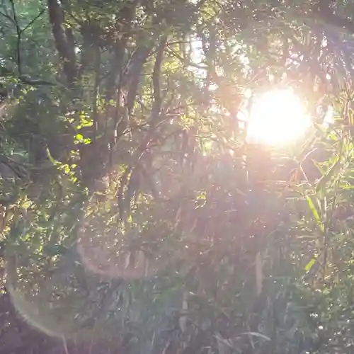枚岡神社神津嶽本宮(大阪府)