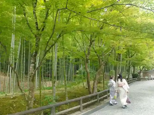 天龍寺(京都府)