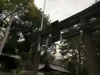 水稲荷神社の鳥居