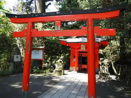 箱根神社の鳥居