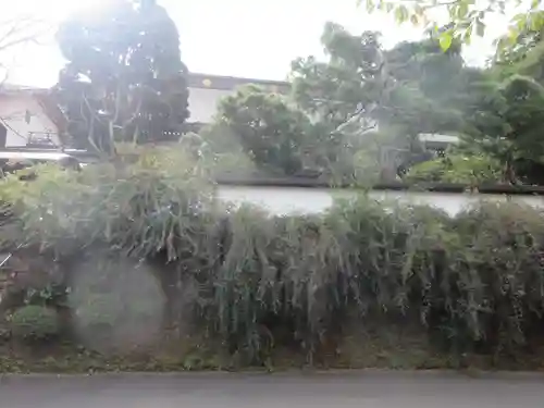 妙高院(神奈川県)