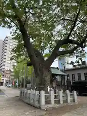 阿邪訶根神社(福島県)