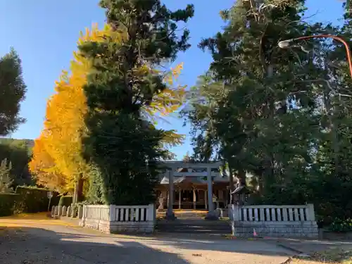 上諏訪神社の鳥居