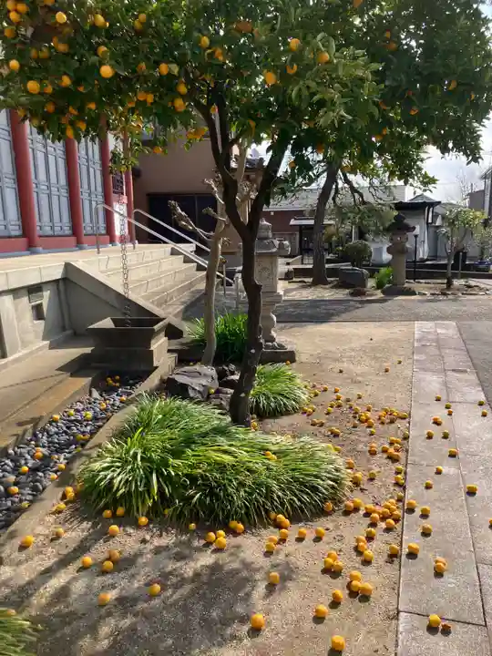 延命寺(群馬県)