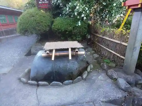 富士山本宮浅間大社(静岡県)