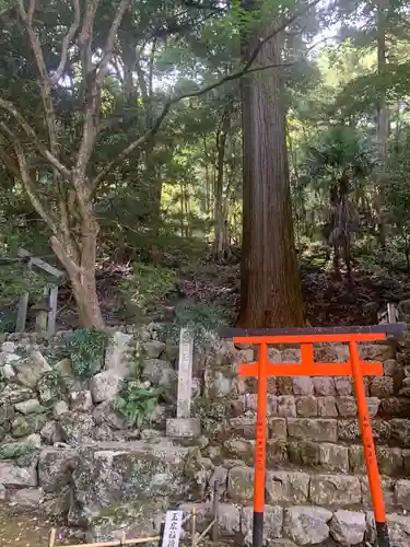 聖寳寺の鳥居