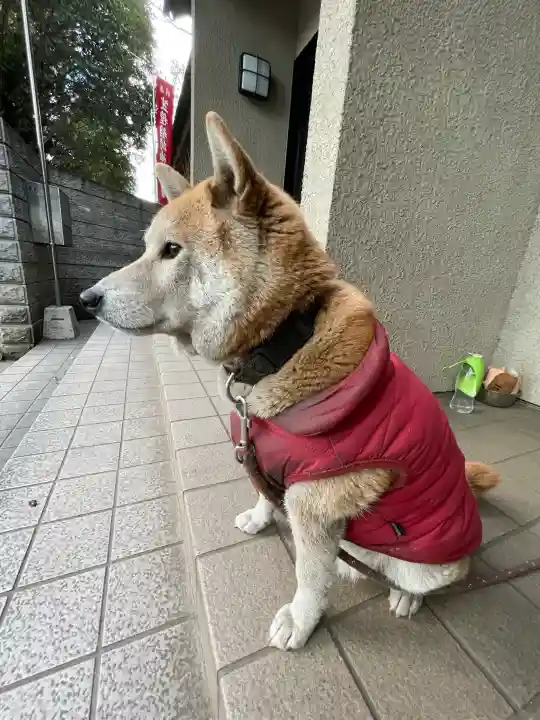 笠䅣稲荷神社の{uncategorized: "未分類", other: "その他", undefined: "問題あり", building: "その他建物", grave: "お墓", sacred_gate: "鳥居", guardian: "狛犬", statue: "像", buddha: "仏像", history: "歴史", nature: "自然", garden: "庭園", animal: "動物", pagoda: "塔", temizu: "手水舎", mountain_gate: "山門・神門", sanctuary: "本殿・本堂", subordinate: "末社・摂社", art: "芸術", scenery: "景色", jizo: "地蔵", ema: "絵馬", goshuin: "御朱印", omikuji: "おみくじ", items: "授与品その他", amulet: "お守り", goshuincho: "御朱印帳", eats: "食事", festival: "お祭り", votive_dance: "神楽", shichigosan: "七五三参", wedding: "結婚式", experience: "体験その他", initially: "初詣", around: "周辺", anti_infection: "感染症対策"}