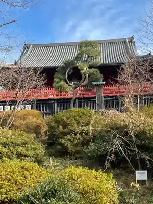 清水観音堂(東京都)