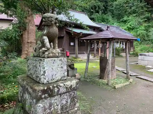 御霊神社の狛犬