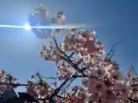 高福寺の{uncategorized: "未分類", other: "その他", undefined: "問題あり", building: "その他建物", grave: "お墓", sacred_gate: "鳥居", guardian: "狛犬", statue: "像", buddha: "仏像", history: "歴史", nature: "自然", garden: "庭園", animal: "動物", pagoda: "塔", temizu: "手水舎", mountain_gate: "山門・神門", sanctuary: "本殿・本堂", subordinate: "末社・摂社", art: "芸術", scenery: "景色", jizo: "地蔵", ema: "絵馬", goshuin: "御朱印", omikuji: "おみくじ", items: "授与品その他", amulet: "お守り", goshuincho: "御朱印帳", eats: "食事", festival: "お祭り", votive_dance: "神楽", shichigosan: "七五三参", wedding: "結婚式", experience: "体験その他", initially: "初詣", around: "周辺", anti_infection: "感染症対策"}