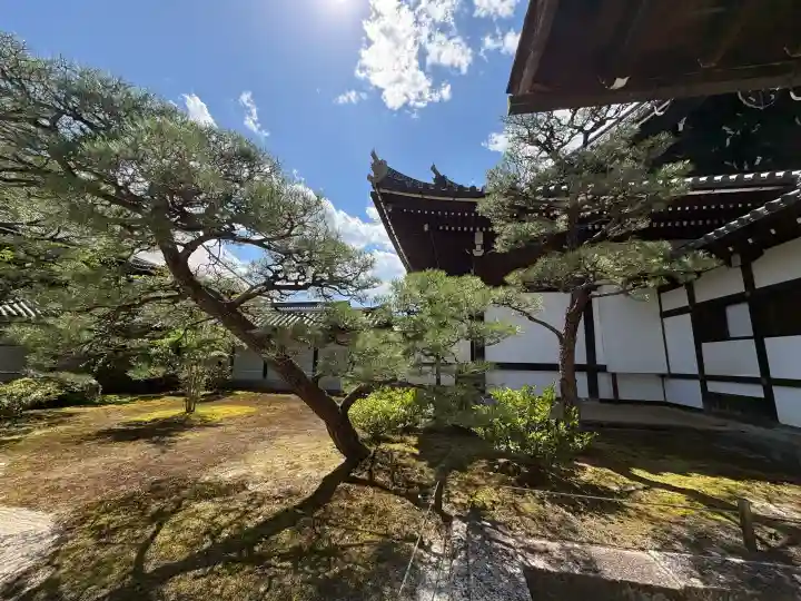 知恩院の{uncategorized: "未分類", other: "その他", undefined: "問題あり", building: "その他建物", grave: "お墓", sacred_gate: "鳥居", guardian: "狛犬", statue: "像", buddha: "仏像", history: "歴史", nature: "自然", garden: "庭園", animal: "動物", pagoda: "塔", temizu: "手水舎", mountain_gate: "山門・神門", sanctuary: "本殿・本堂", subordinate: "末社・摂社", art: "芸術", scenery: "景色", jizo: "地蔵", ema: "絵馬", goshuin: "御朱印", omikuji: "おみくじ", items: "授与品その他", amulet: "お守り", goshuincho: "御朱印帳", eats: "食事", festival: "お祭り", votive_dance: "神楽", shichigosan: "七五三参", wedding: "結婚式", experience: "体験その他", initially: "初詣", around: "周辺", anti_infection: "感染症対策"}