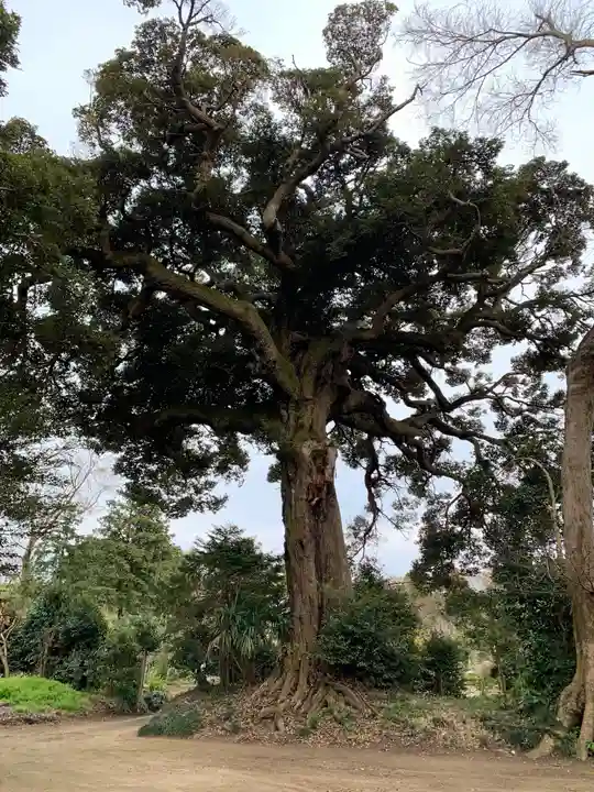 大竹神社の自然