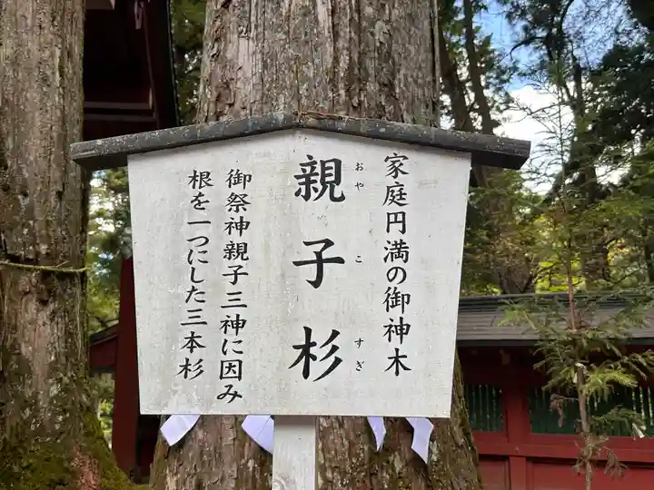 日光二荒山神社(栃木県)
