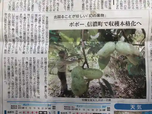 国宝 大法寺(長野県)