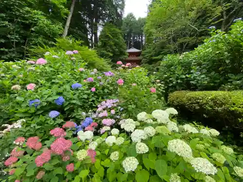 岩船寺の庭園