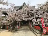 金剛宝寺(紀三井寺)の本殿・本堂