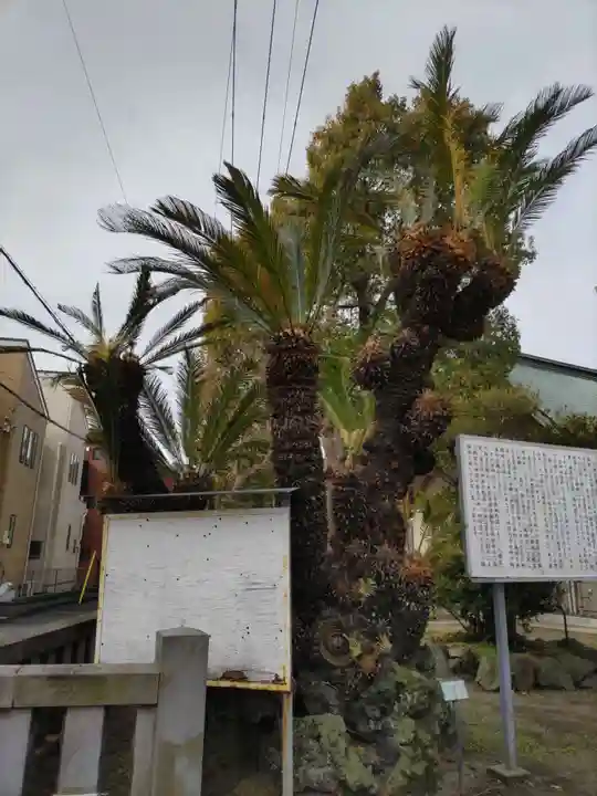 久里浜八幡神社の自然