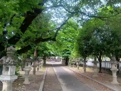 春日神社の{uncategorized: "未分類", other: "その他", undefined: "問題あり", building: "その他建物", grave: "お墓", sacred_gate: "鳥居", guardian: "狛犬", statue: "像", buddha: "仏像", history: "歴史", nature: "自然", garden: "庭園", animal: "動物", pagoda: "塔", temizu: "手水舎", mountain_gate: "山門・神門", sanctuary: "本殿・本堂", subordinate: "末社・摂社", art: "芸術", scenery: "景色", jizo: "地蔵", ema: "絵馬", goshuin: "御朱印", omikuji: "おみくじ", items: "授与品その他", amulet: "お守り", goshuincho: "御朱印帳", eats: "食事", festival: "お祭り", votive_dance: "神楽", shichigosan: "七五三参", wedding: "結婚式", experience: "体験その他", initially: "初詣", around: "周辺", anti_infection: "感染症対策"}