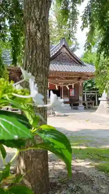 香取神社(茨城県)