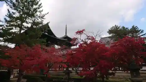 法隆寺の庭園